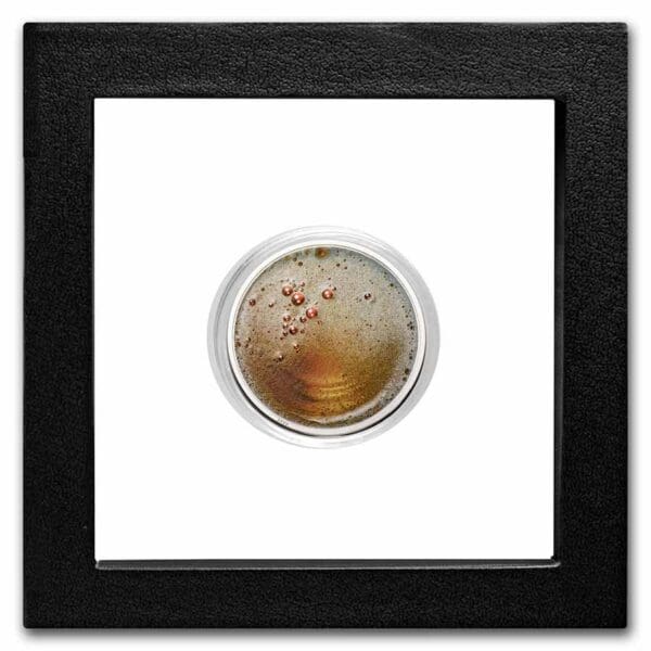 Mayer Mint GMBH Food & Drinks: Plzeňské pivo 2022 Kamerunská republika 1 oz - Image 3