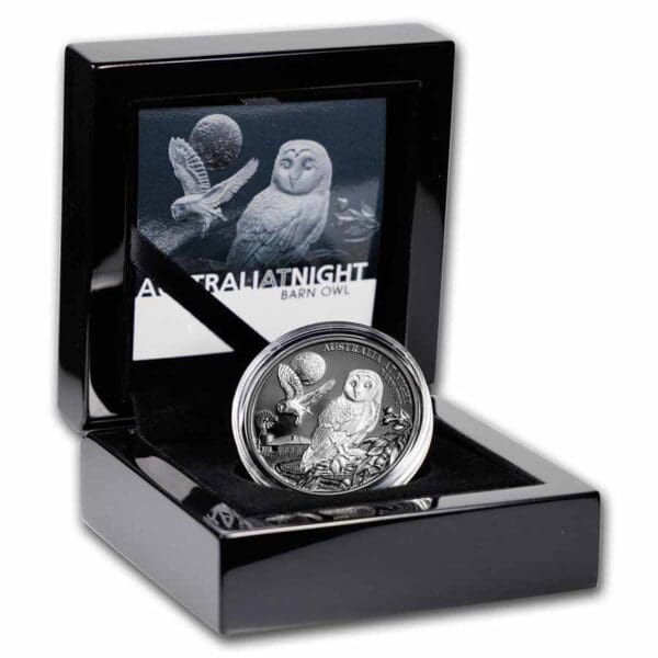 Stříbrná mince Night Barn Owl (Noční sova pálená) 1 Oz 1 $  2022 Niue - Image 3