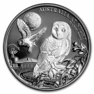 Stříbrná mince Night Barn Owl (Noční sova pálená) 1 Oz 1 $  2022 Niue