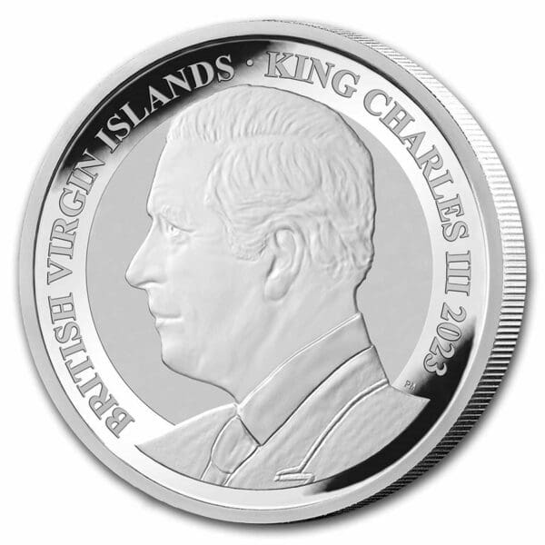 Pobjoy Mint Stříbrná mince Pegasus Reverse Cameo 1 Oz 2023 BU Velká Británie - Image 2
