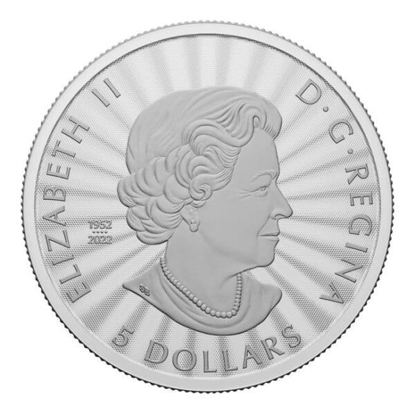 Royal Canadian Mint Majestátní lední medvěd (Polar Bear) 1 Oz 2023 Kanada - Image 2
