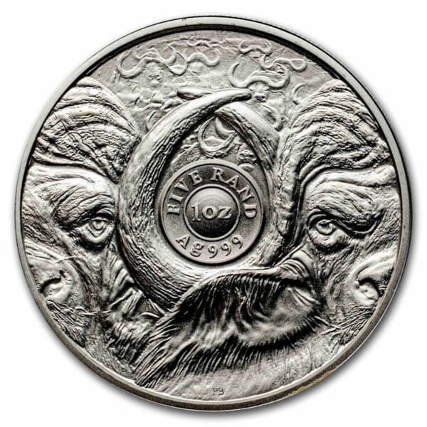 South African Mint Big Five Buffalo BU 2023 Jižní Afrika 1 oz - Image 2