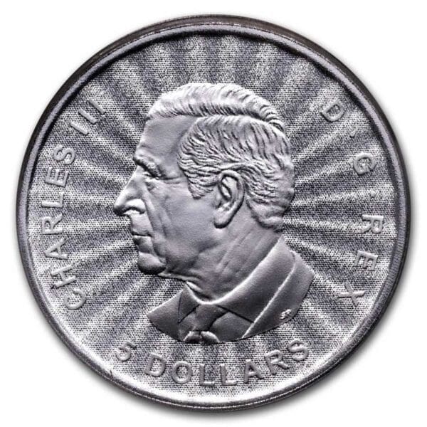 Royal Canadian Mint Majestátní lední medvědi 2024 Kanada 1 oz $5 - Image 2